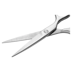 16 cm, Ciseaux de ménage, Argent
