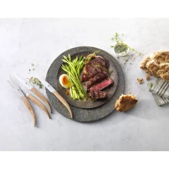Couteaux à steak 4-pcs
