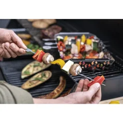 Set de piques à brochettes, 5-pcs, Acier inoxydable